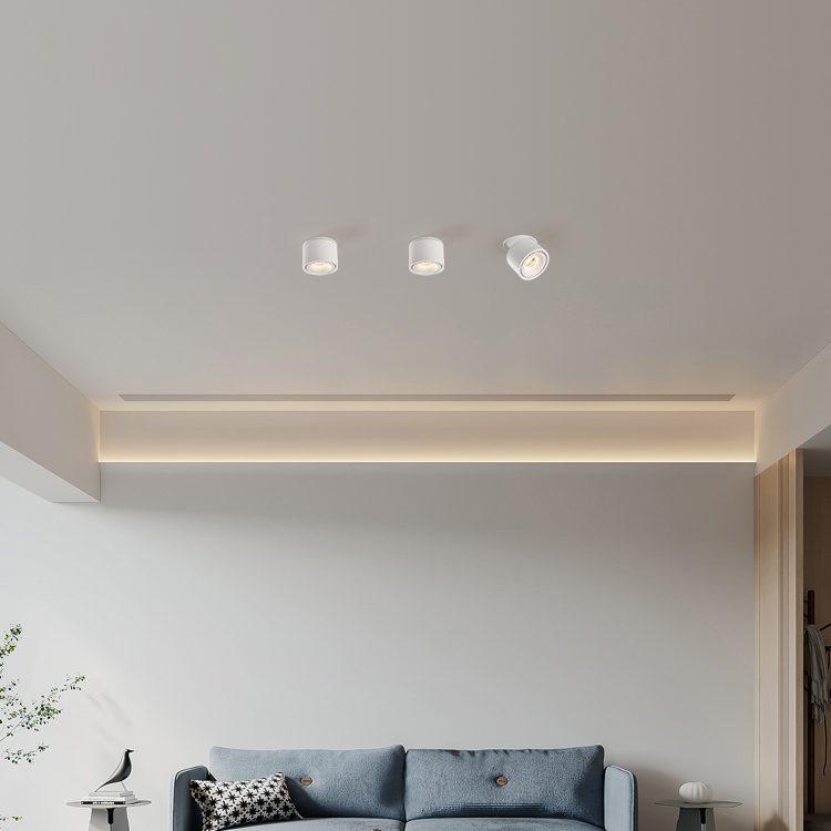 Vellora | Adjustable Cylinder Recessed LED Ceiling Lamp